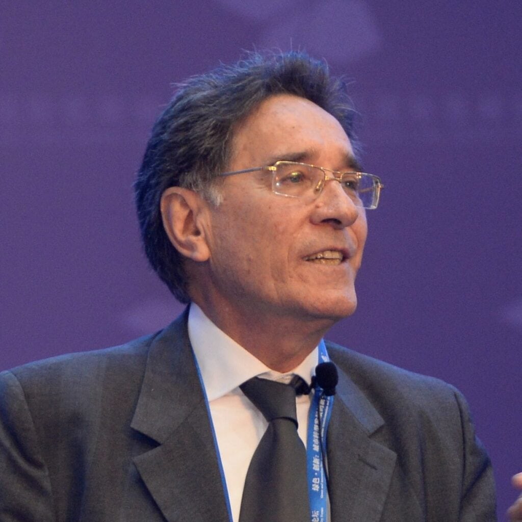نیکلا گرجستانی